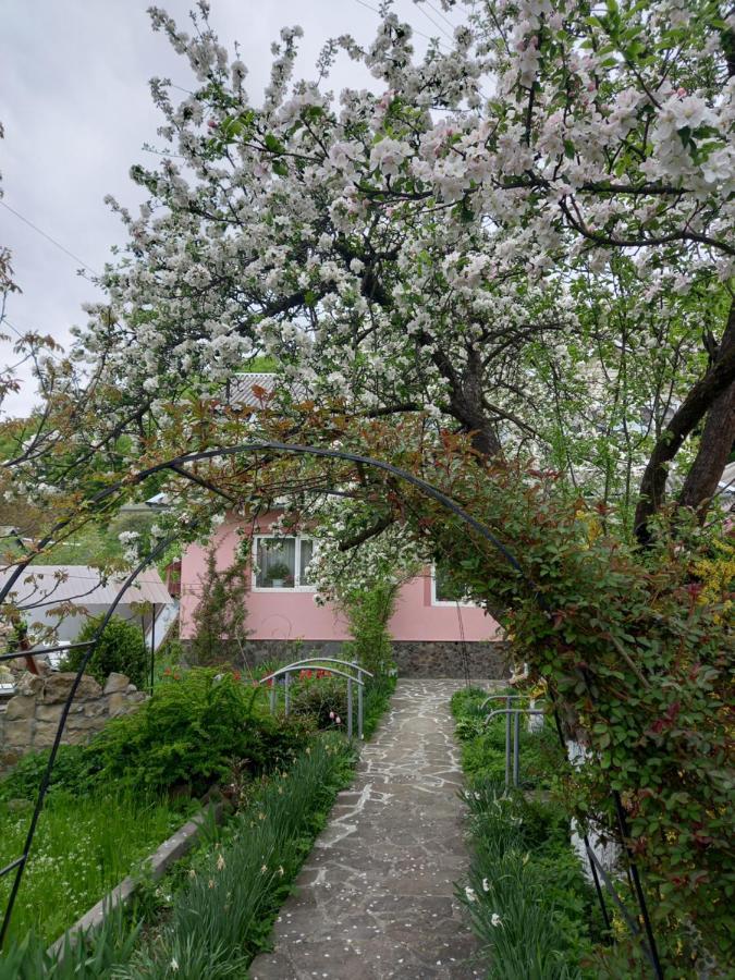 Лаванда Yaremche Exterior foto