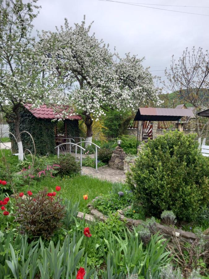 Лаванда Yaremche Exterior foto
