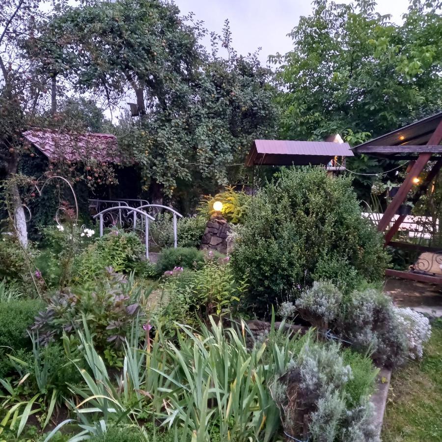 Лаванда Yaremche Exterior foto